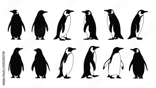Cuadro en lienzo Collection Of Penguin Silhouettes In Various Poses Against A White Background Si