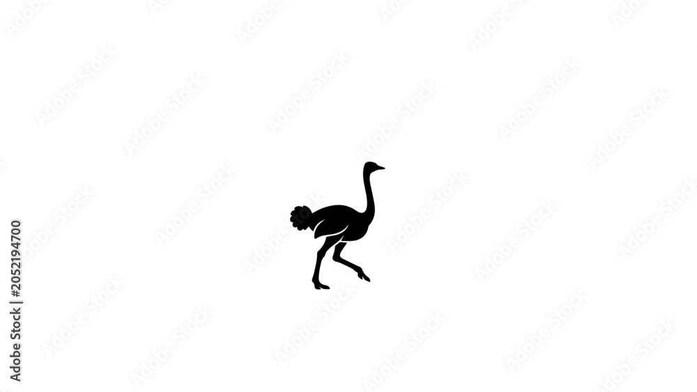 Naklejka premium Running ostrich silhouette, isolated on white background