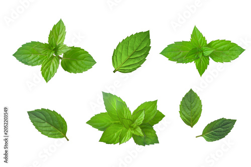 Foto Organic peppermint leaves isolated on white background