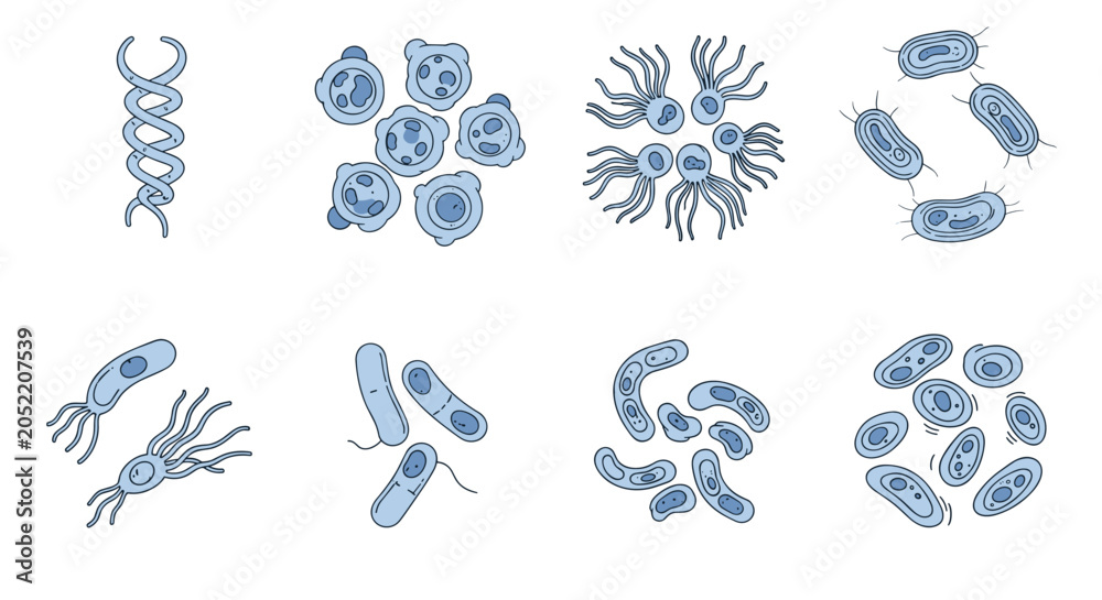 Fototapeta premium Educational set of various bacteria, germs, and microorganisms in blue tones shown in different shapes and clusters.