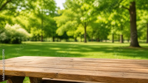 Wooden table in a green park under the sun with trees in the background