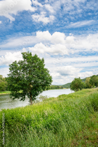 Konstfotografi Moselle valley landscape, mosel river and grassland with trees on the riverbed,