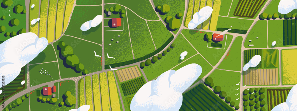 Fototapeta premium Farm land with fields and houses above. Aerial view of farmland. Top panorama of agricultural landscape with meadows, plantations, roads and villages. Map of ranch. Flat vector illustration