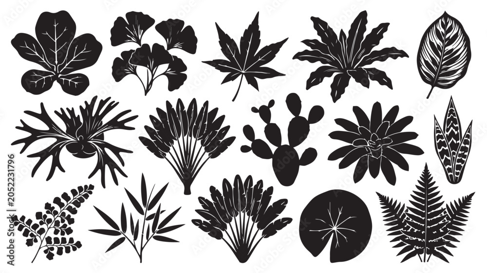 Obraz premium Botanical leaf silhouettes collection, 15 black tropical plant icons, hand drawn floral elements for nature branding and pattern design