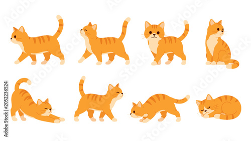Fotografie Set of orange tabby cats in different poses vector illustration