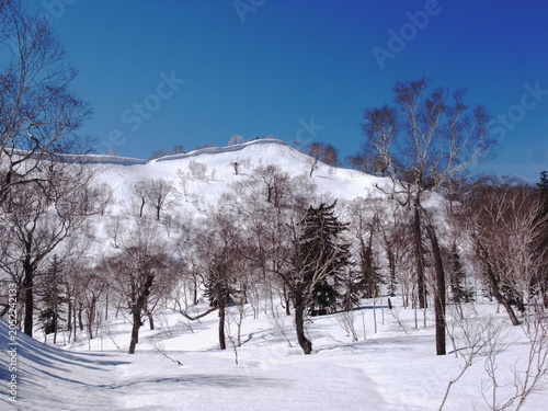 Winter hike at Mt.Bihinai