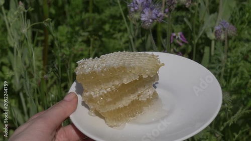 Fresh honey from private garden apiary on plate, organic product, blooming flowers background.