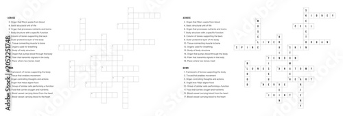 Fotografija Human Body Crossword Puzzle Game with Clues and Solution