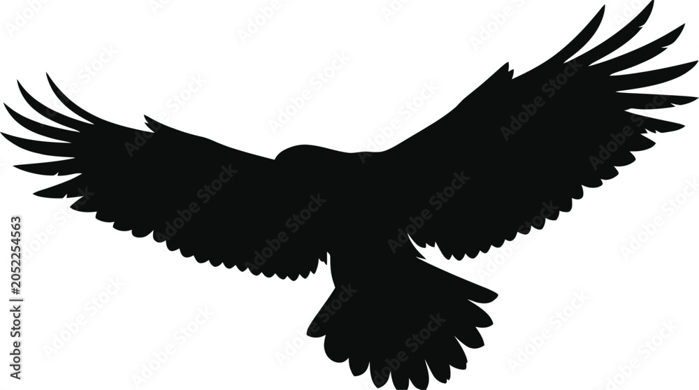 Fototapeta premium Flying eagle silhouette graphic icon isolated on white background with silhouette