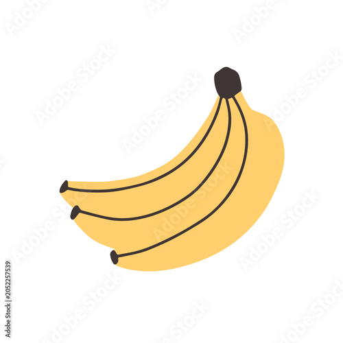 Bananas bunch, bundle. Sweet tropical fruit in yellow peel. Exotic healthy vi...