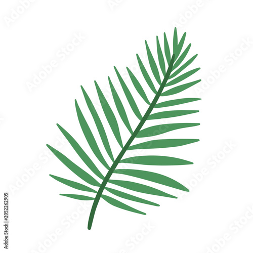Tropical areca palm leaf with pinnate frond. Exotic green jungle foliage. Sum...