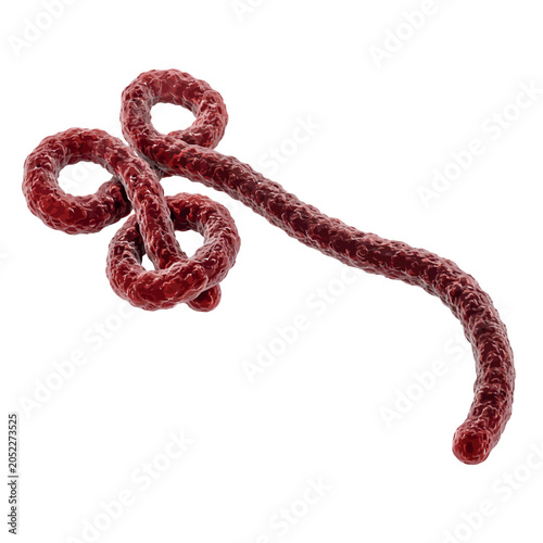 Quadro em tela Vsai ebola virus structure showing infectious pathogen organism