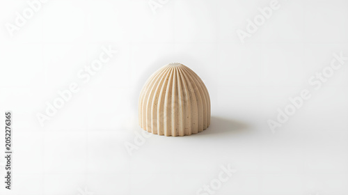 Single Beige Mushroom Cap with Vertical Ribs on White Background