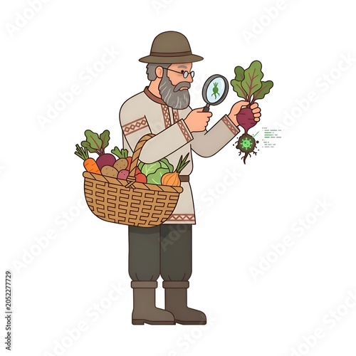 Bearded farmer in traditional attire inspecting a freshly harvested beet with a magnifying glass for pests and diseases, carrying a basket of fresh vegetables.