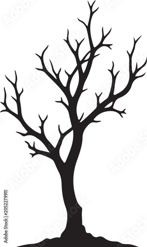 Bare tree with tangled branches black silhouette against a white background high quality