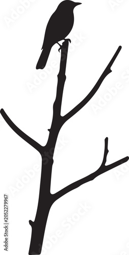 Bird perched on branch black silhouette against white background silhouette high quality professional