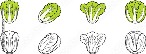 Illustration of two rows of Chinese cabbage heads, with colored versions on top and black-and-white outlines below.