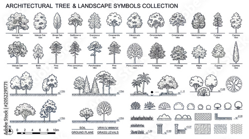 Architectural tree and landscape symbols collection
