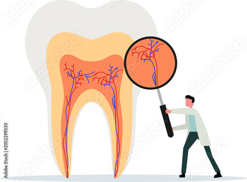Illustration of a doctor examining teeth using a magnifying glass