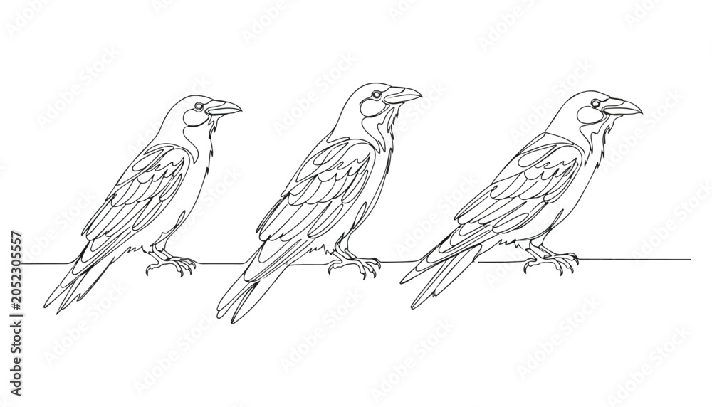 Fototapeta premium Continuous Simple black line art drawing set of Corvus bird in a minimalist style on a white background.