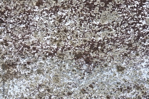 Corse Texture Wall Background Grey Fiber
