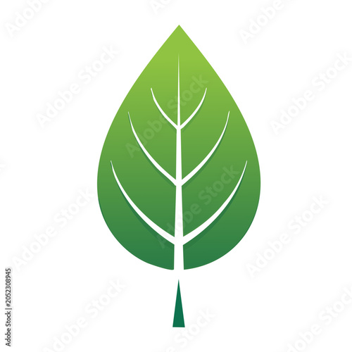 Green leaf icon with veins on white background