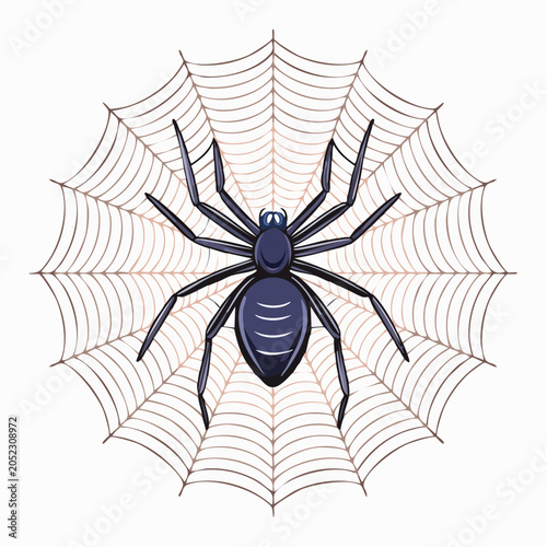 Illustration of a black spider on a web