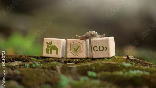 Carbon Neutral and Sustainable Living Concept with CO2 Reduction and Environmental Protection
