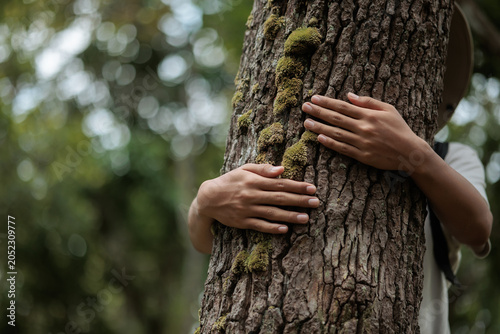 Child Hugging Tree in Forest for Environmental Conservation and Nature Protection