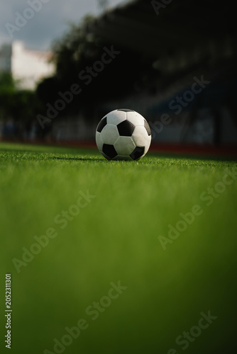 Fotografie A soccer ball rests on a green field with a blurred stadium background, representing football competition, teamwork, athletic performance, and the spirit of the game