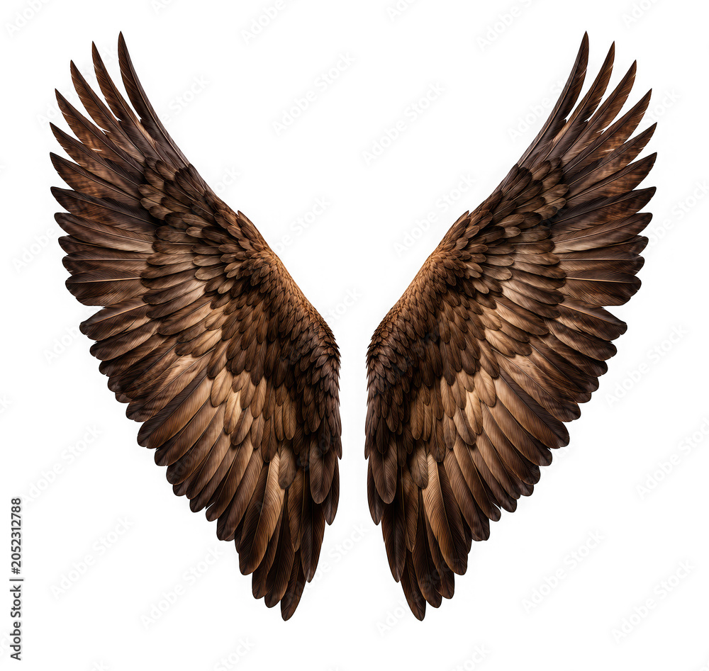 Obraz premium Eagle wings with ornament transparent background predator creature isolated on transparent background