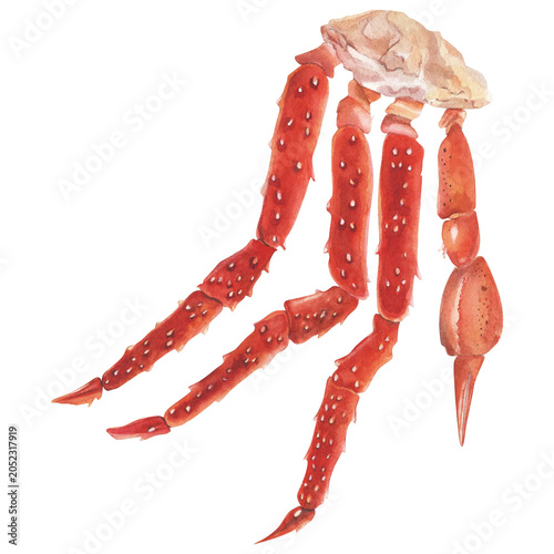 Foto Kamchatka red king crab legs