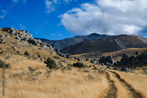 Castle Hill (Kura Tāwhiti) in New Zealand