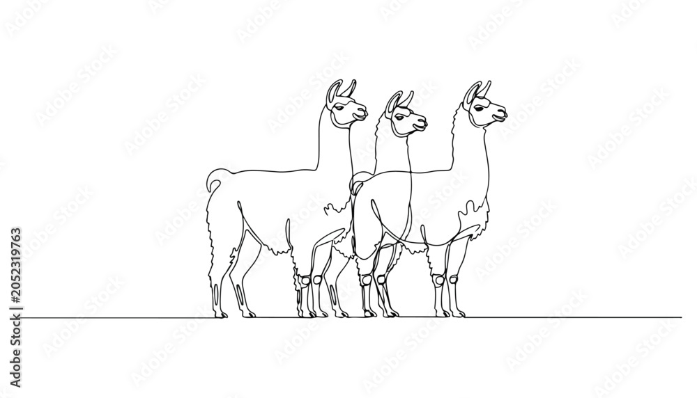 Fototapeta premium Continuous Simple black line art drawing set of llama in a minimalist style on a white background.