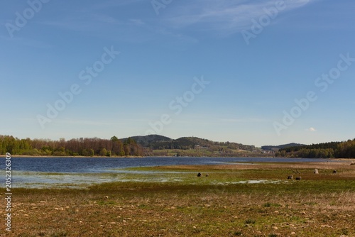 A serene lakeside scene with clear blue water reflecting the sky - Lake Lipno in Czech Republic