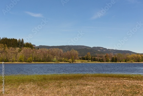 A serene lakeside scene with clear blue water reflecting the sky - Lake Lipno in Czech Republic