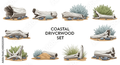 A collection of ten illustrations depicting weathered driftwood logs coastal vegetation and scattered stones on sandy ground