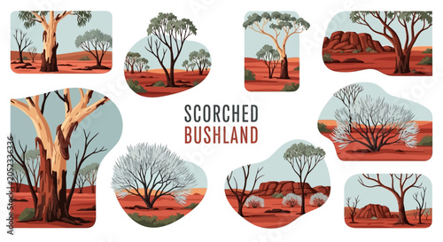 Illustration set of Australian outback landscapes featuring eucalyptus trees rocky formations and red arid earth terrains