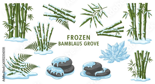 Cuadro en lienzo Set of illustrations featuring snowcovered bamboo stalks ferns dark stacked ston