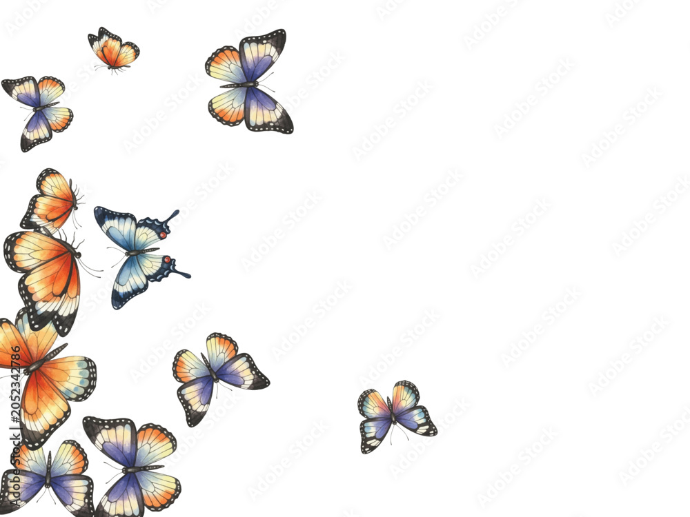 Fototapeta premium Adobe Illustrator Artwork