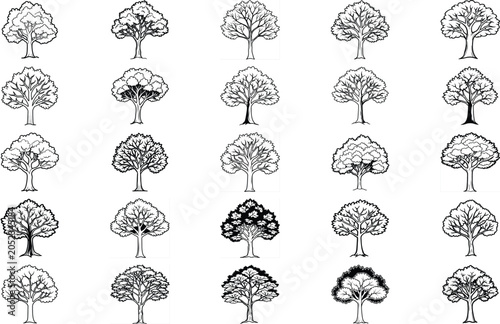 Vector silhouette of tree on white background.