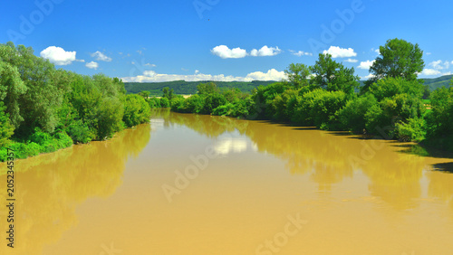 Foto The River Mures, known as the Maros in Hungarian, flows gently through the riverside vegetation beneath a blue sky dotted with cumulus clouds