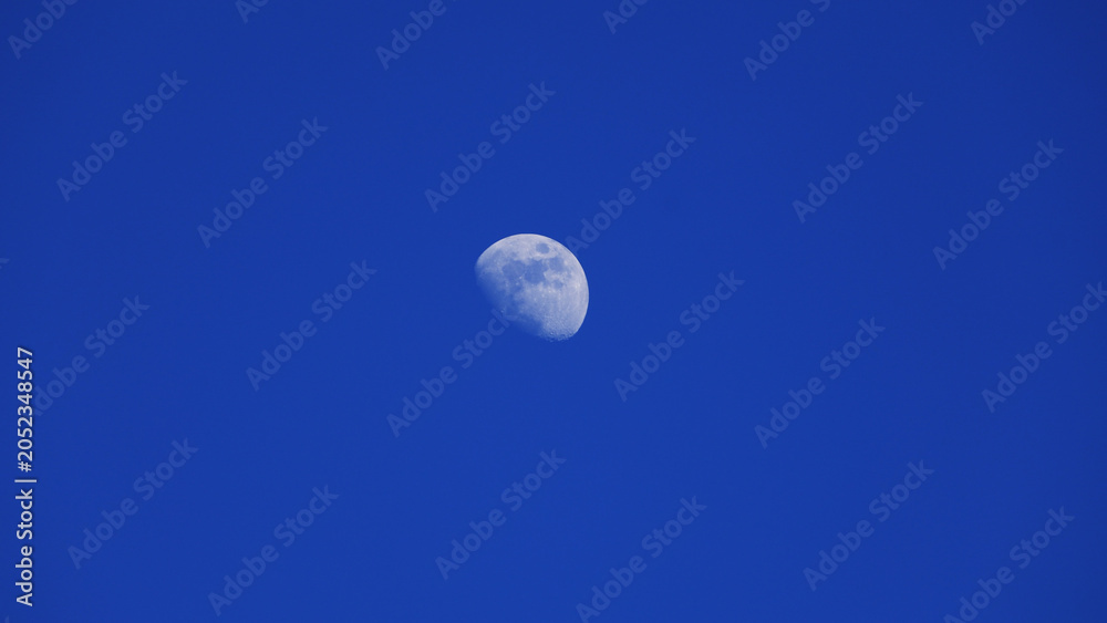 Obraz premium Waxing gibbous Moon with tree silhouettes on a daylight blue sky.