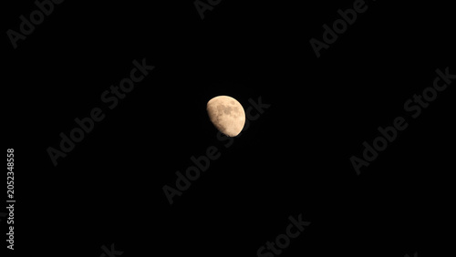 Bild auf Leinwand Waxing gibbous Moon on a dark evening sky.