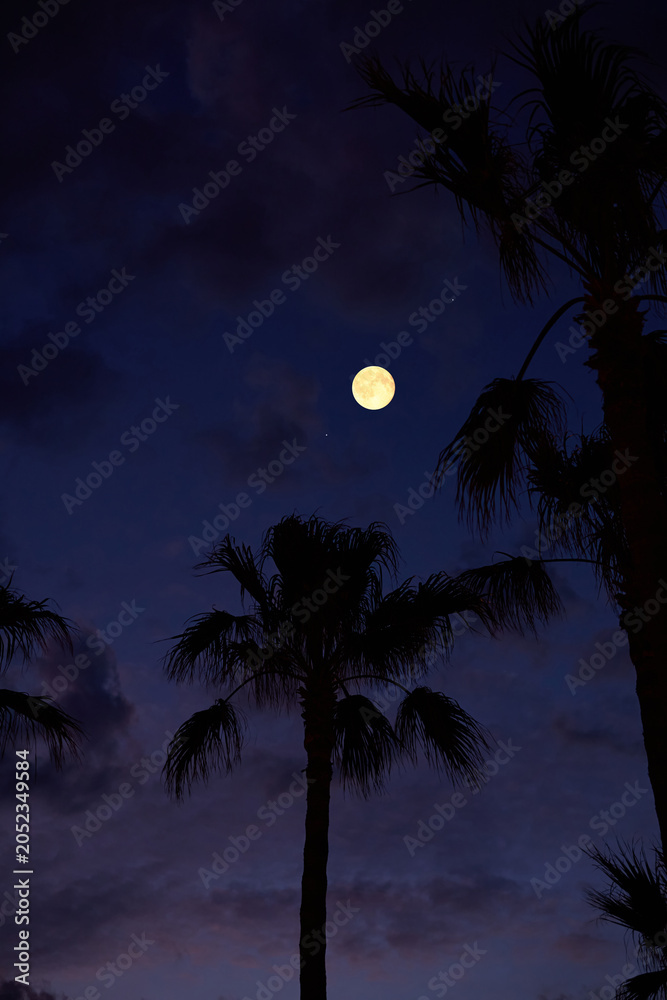 Obraz premium Full Moon on a twilight sky with landscape silhouettes.