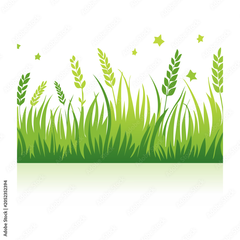 Fototapeta premium Green grass and wheat illustration with stars