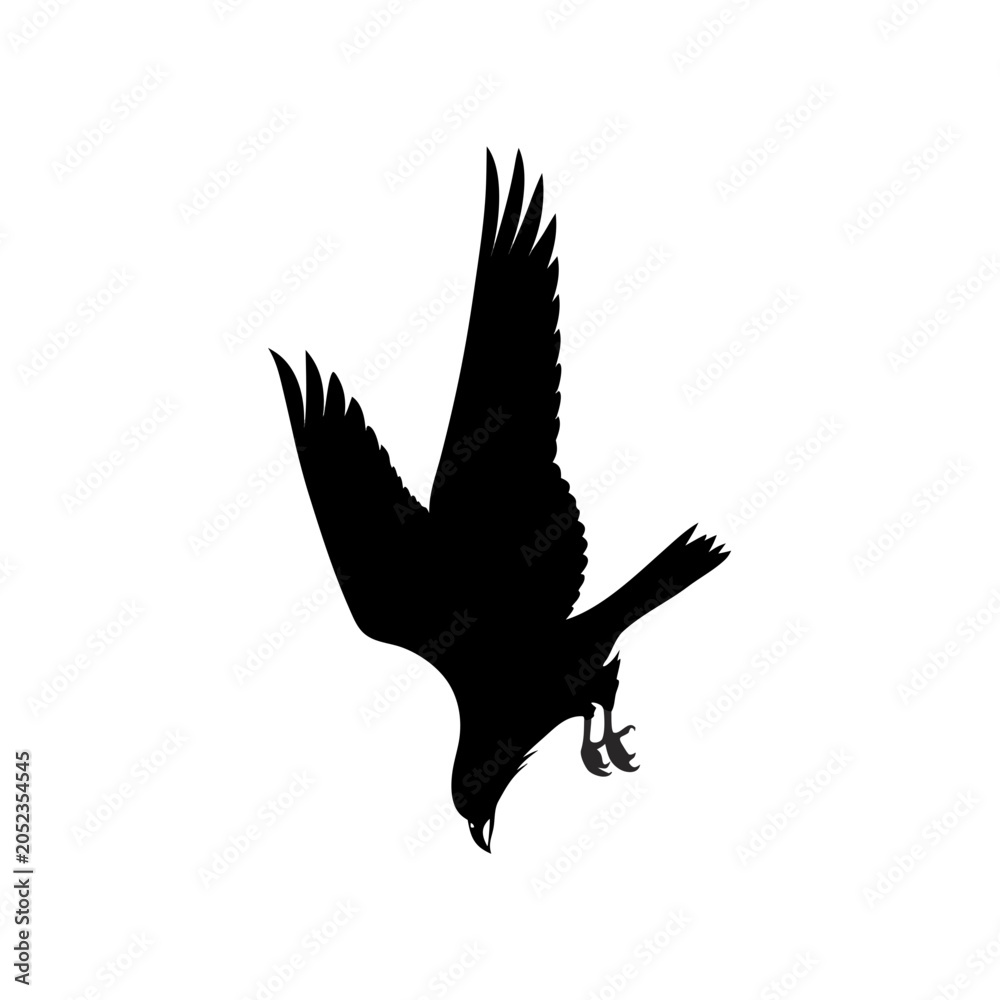 Fototapeta premium Black bird silhouette, flying eagle, bird of prey, wildlife icon