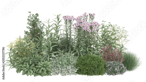 Assortment of garden plants with purple flowers and green shrubs isolated on white background for landscape design architecture rendering