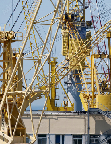 Yellow port cranes