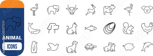 Photography Outline animal species vector icons